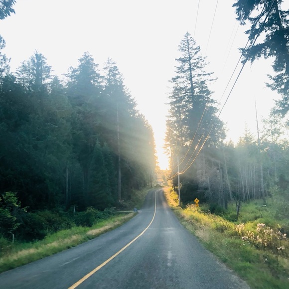 Meet your Posher, Naomi - Picture 1 of 1